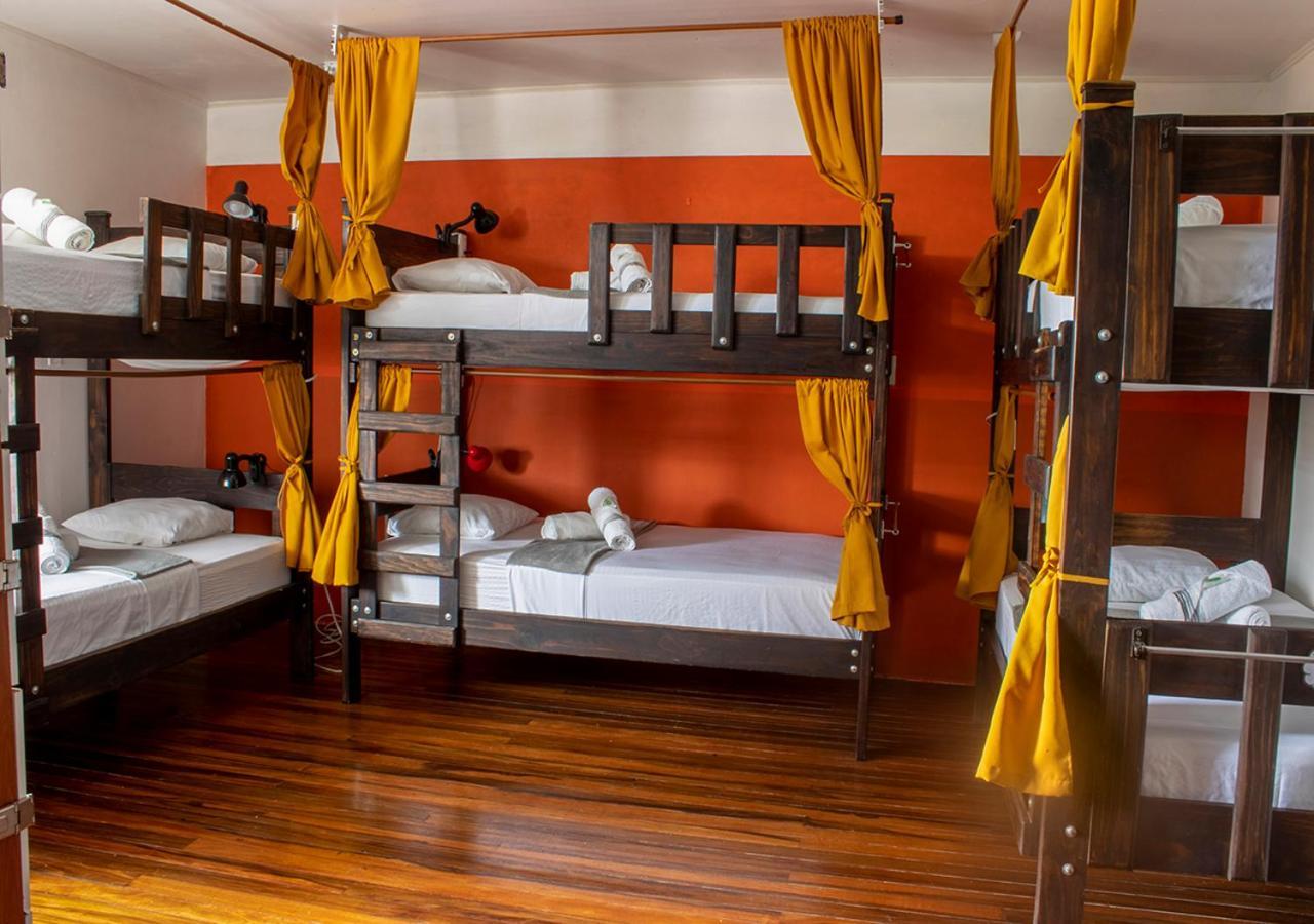 Bed in 8-Bed Dormitory Room,1588535817:JPEG